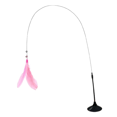Feather Toy