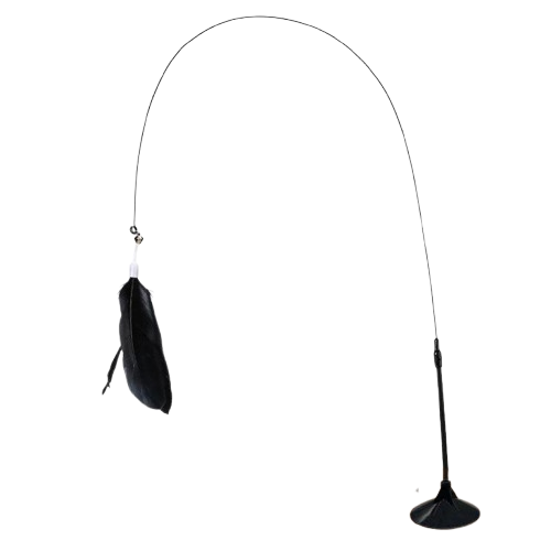Feather Toy