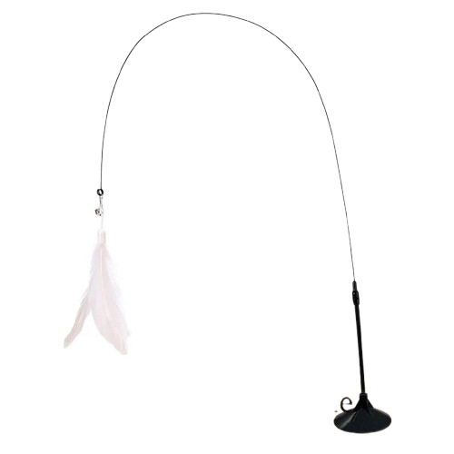 Feather Toy