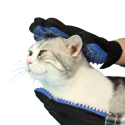 Silicone Grooming Gloves