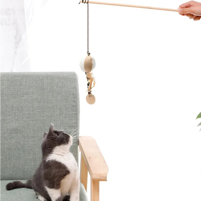 Feather Toy