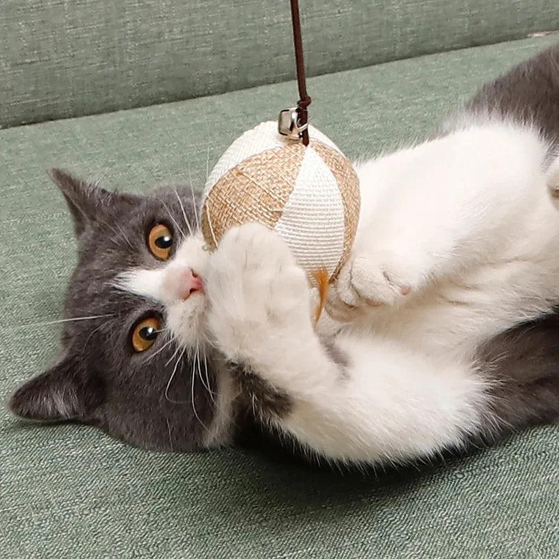 Feather Toy