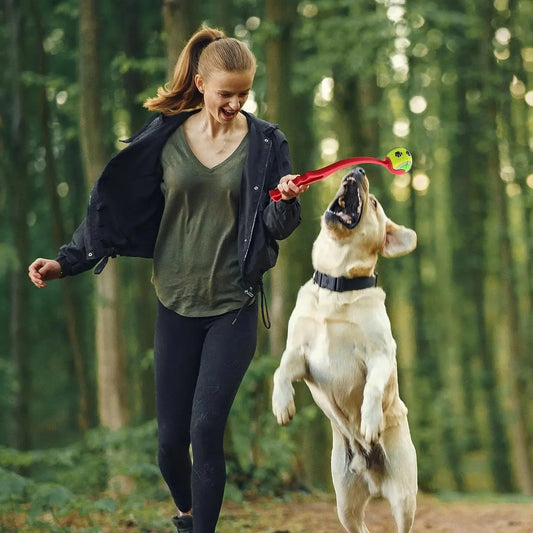Ball Throwing Stick