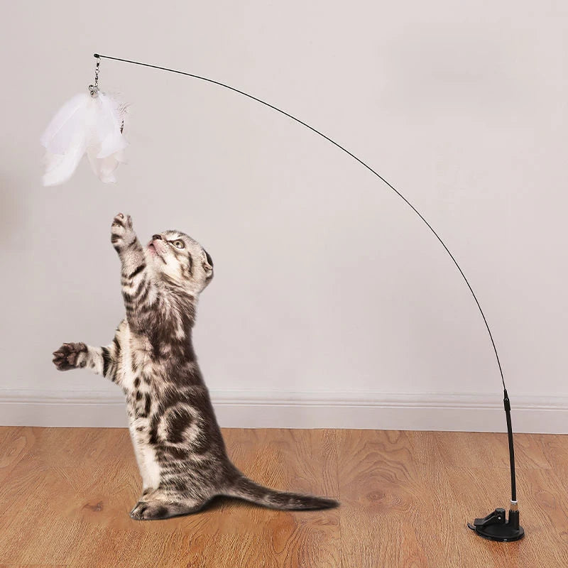 Feather Toy