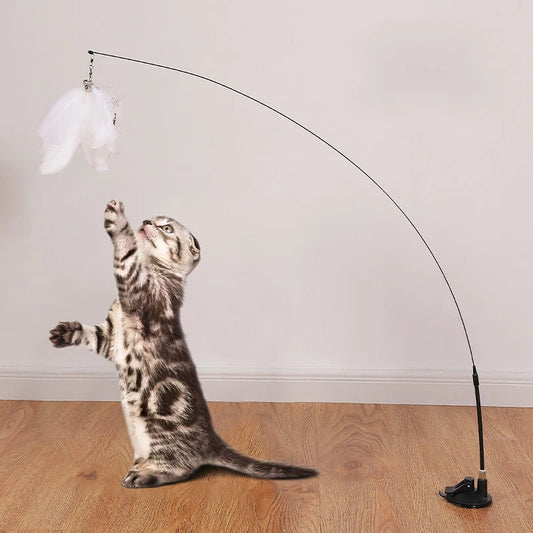 Feather Toy